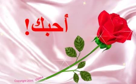 loov