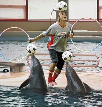 beckham